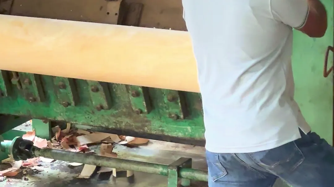 Veneer coming off the rotary lathe at the Chalaka factory
